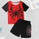 Jungen 3D SPIDER Pyjama-Sets mit T-Shirt und Shorts Kurzarm 3D-Druck Sommer Aktiv Modisch Täglich Polyester kinderkleidung 3-12 Jahre Rundhalsausschnitt Heim Normal Innen Regular Fit