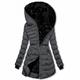 Damen Winterjacke puffer jacket Hoodie Jacke Strasse Täglich Valentinstag Winter Herbst Lang Mantel Lockere Passform warm halten Atmungsaktiv Casual Jacken Langarm Feste Farbe Full Zip Gelb Silber