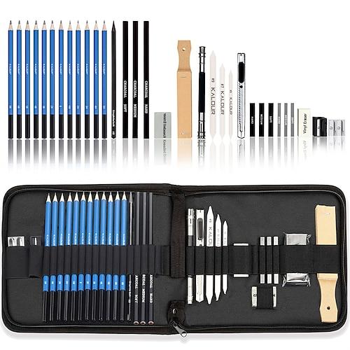 bview art 32er-Pack Zeichenstifte-Set, professionelles Zeichenset mit Skizzenstiften, Graphitkohlestiften im tragbaren Etui, Zeichenzubehör für Kinder und Erwachsene, Künstler