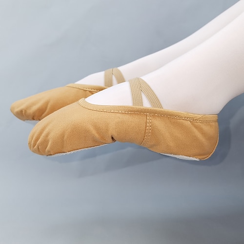 Damen Ballettschuhe in zartem Rosa – bequeme Tanzschuhe mit elastischen Riemen für Ballett, Tanzkurse Auftritte Image