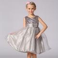 Kinder Wenig Mädchen Kleid Blumen Solide Blume Tüll-Kleid Party Pailletten Mehrlagig Purpur Fuchsie Rosa Ärmellos Prinzessin Süß Kleider Herbst Frühling Schlank 3-12 Jahre