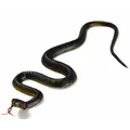 45cm Fake Realistic Rubber Toy Snake North US Green Anaconda Scary Halloween To Scare Birds Props