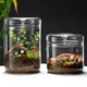 Glass Bottles Creativity Dew Collection Glass Vase Micro Landscape Succulent Moss Bansai Landscape