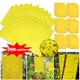 200-20PCS Yellow Greenhouse Sticky Traps Bugs Sticky Board Flying Insect Catching Control Sticker