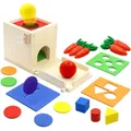 Montessori Toys Play Kit Sorting & Matching Toys Coin Ball Box Multi-function Stick Pull Radish Game