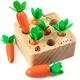 Baby Pull Carrot Set Montessori Toys for Children 1+ Years Wooden Shape Size Matching Game Learning