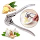 Garlic Press Crusher Mincer Kitchen Stainless Steel Garlic Smasher Squeezer Manual Press Tool