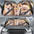 Pomerania auto parasole auto sedile di guida auto cane decorazione auto marito regalo auto