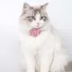 Cat Collar Adjustable Bow Tie Cat Flower Collar Safety Button Tie Necklace Puppy and Cat Gift Pet