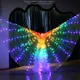 LED Luminous Belly Dance Wings Cloak Performence Stage Supplies Glowing Butterfly Fairy Wing With