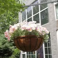 Metal Hanging Basket For Plants Flower Garden Pot Planters 8/10 Inch Round Wire Plant Holder Pots