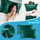 Flannel Pillowcase Satin 2pcs Standard With Envelope Inches) (20x26 Covers Closure Size Case Outdoor