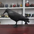 Simulation Black Crow Raven Bird Repellent Pest Control PigeonRepellent Garden Decoration Outdoor