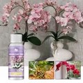 Orchid Special Fertilizer Rooting Liquid Plant Rapid Rooting Agent Flowering Organic Fertilizer For