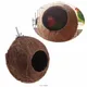 Bird Finch Parrot Nest Natural Coconut Shell Hanging Chain Cage Toys Swing House Birds Nest Supplies