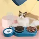 Cat Food Bowl Pet Automatic Feeder Water Dispenser Dog Cat Food Container Drinking Dish Anti Slip