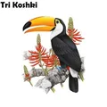 Tri koshki RC025 Tropical Animals Toucan Bird Wall Sticker Waterproof PVC Decoration Door Living