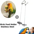 Pet Parrots Birds Food Holder Stainless Steel Fruit Spear Stick Fruit Vegetable Skewer Feeder