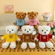 Jumper bear plush toy teddy bear doll sweater bear dolls