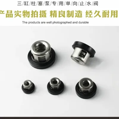 Power Sprayer pump Water Valve seat for high pressure brass plunger pump Engine seal