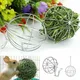 Stainless Steel Round Sphere Feed Dispense Exercise Hanging Hay Ball Guinea Pig Hamster Rabbit