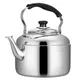 Stainless Steel Kettle Induction Cooker Whistle Gas Flat Bottom Large Capacity Household Gas Plus