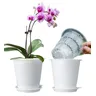 Meshpot vasi per orchidee trasparenti da 4 pollici/10cm con fori abbinati a fioriera per orchidee in