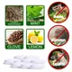 20 PCS Keep Mice Out For House Peppermint Oil For Mice And Rats Mouse Squirrel For Home Garages RV