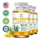 Organic Sea Moss Capsules Irish Sea Moss bladderwrack & Burdock Root