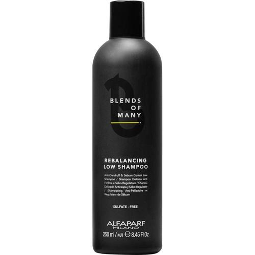 ALFAPARF MILANO - Rebalancing Low Shampoo 250 ml Damen