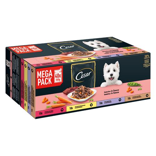 40x 100g Cesar Feines im Frischebeutel Favoriten in Sauce Hundefutter nass