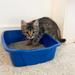 Tucker Murphy Pet™ Pets Extra Small Open Cat Litter Box, Kitten/Rabbit Size, CP0 Plastic in Blue | 4 H x 10.8 W x 14.4 D in | Wayfair