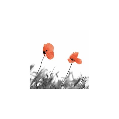 240 Bio Duni Tissue-Servietten 33 x 33 cm Two Poppies 3-lagig