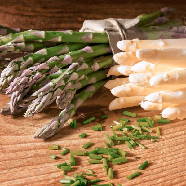 240 Duni Tissue-Servietten 33 x 33 cm Fresh Asparagus 3-lagig Image