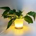 LED Plant Pot Modern LED Flower Pot LED Lighted Planter Illuminated Planter for Succulents and Small Plants - Suit for Home Or Office Decor Must Have Household Items