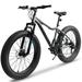 26 Inch Fat Tire Mountain Bike 21 Speed Snow Mountain Bicycle for Men and Women High Carbon Steel Frame Off-Road Bike with Daul Disc Brakes for Outdoor Sports- Gray