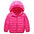 Kids Unisex Hoodie Jacket Outerwear Kids Puffer Jacket Solid Color Long Sleeve Zipper Coat Outdoor Adorable Daily Royal blue cotton jacket black cotton coat Orange cotton jacket Spring Fall 7-13 Years