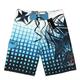 Cross border 2024 New Product for Men's Leisure Tourism Five point Shorts with Checkered Colorful Printing Quick Drying Surfing Beach Pants for Men