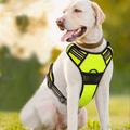 No Pull Dog Harnesses for Small Dogs Reflective Adjustable Front Clip Vest with Handle 2 Metal Rings 3 Buckles [Easy to Put on Take Off