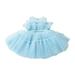 Girls Cute Dresses Holiday Playwear For Little Girls Lace Sleeveless Solid Color Bow Puffy Suitable For Wedding Prom Fashion Playwear Dres Blue 100