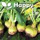 Vegetable - Swede Seeds Rutabaga - 400 Seeds - Brassica napus