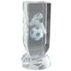 Trophy Superstore Arclight Crystal Football Trophy - Includes Presentation Box - Free Engraving - 140mm A-38x16