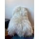 Large Luxurious Genuine Icelandic Sheepskin Rug Sheep Long Fur In Natural Champagne/Off White/Ivory/Cream/Beige and Black Color