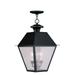 3 Light Outdoor Pendant Lantern in Coastal Style 12 inches Wide By 19 inches High-Black Finish Bailey Street Home 218-Bel-1119423