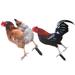 2 Pcs Decorative Garden Inserts Animals Outdoor Decor Lawn Ornament Acrylic Hen Stakes Easter Garden Stakes Art