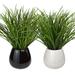 Primrue Donner 12" Faux Plants Onion Grass in Pot Ceramic/Plastic in Black/White | 12 H x 12 W x 12 D in | Wayfair EBDFA0CB2A9E4A3590DF2093B9ACFA9C
