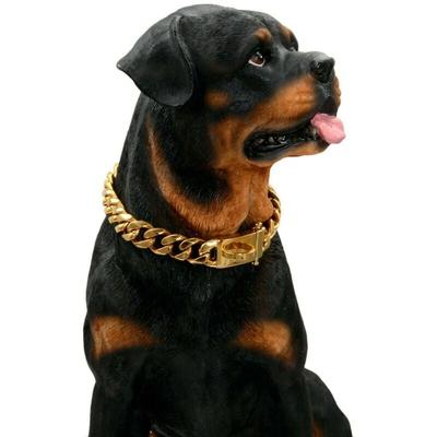 Hundehalsband aus Gold mit kaufester Sicherheitsschnalle (Gold, 18'')