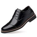 Men's Shoes Oxfords Derby Shoes Formal Shoes Leather Shoes Dress Loafers Walking Business Chinoiserie British Wedding Daily Leather Faux Leather Warm Lace-up Black Spring Fall