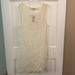 American Eagle Outfitters Dresses | American Eagle Outfitters Cream Lace Sheath Overlay Size L Nwt | Color: Cream | Size: L
