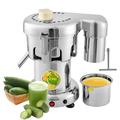 Commercial Juice Extractor, Electric Citrus Juicer with 2L Large Feed Chute, Heavy Duty Centrifugal Juicer Machine, Stainless Steel Juice Extractor with Filter for Juice Shops, Restaurants